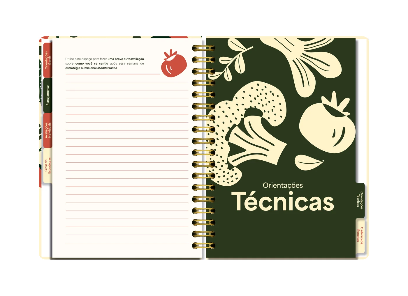 Planner O Novo Ciclo — orientações técnicas