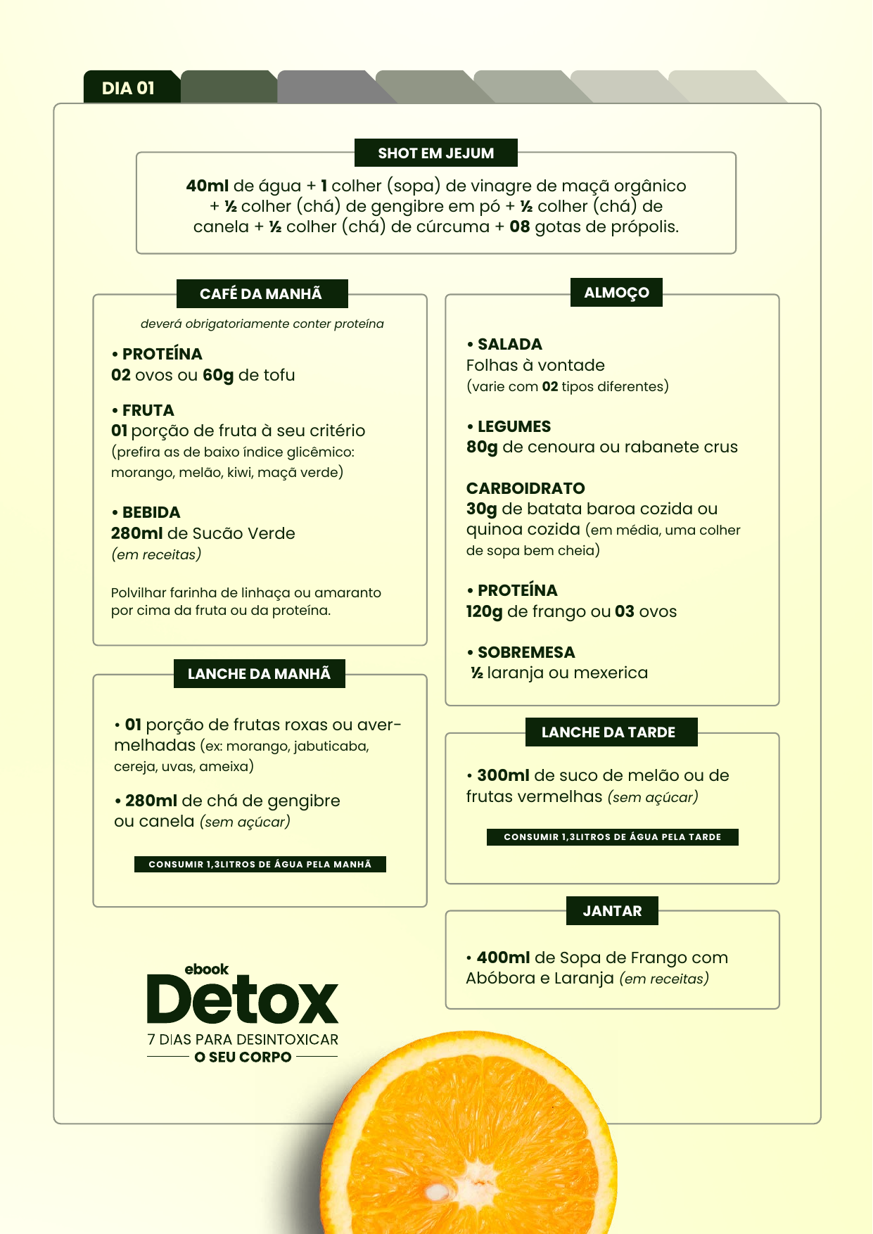 Página interna — Dia 01 do protocolo Detox
