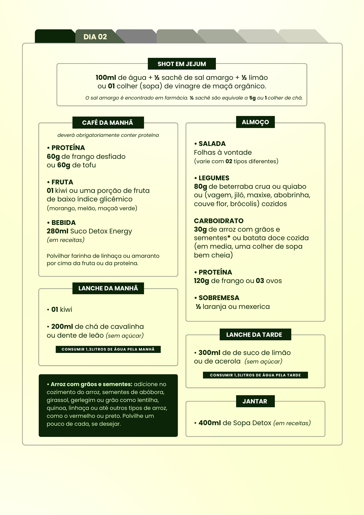 Página interna — Dia 02 do protocolo Detox